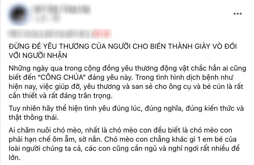 Cụ ông bán vé coi chó như con: Nhiều người kêu gọi hạn chế ôm ấp chó - Hình 1
