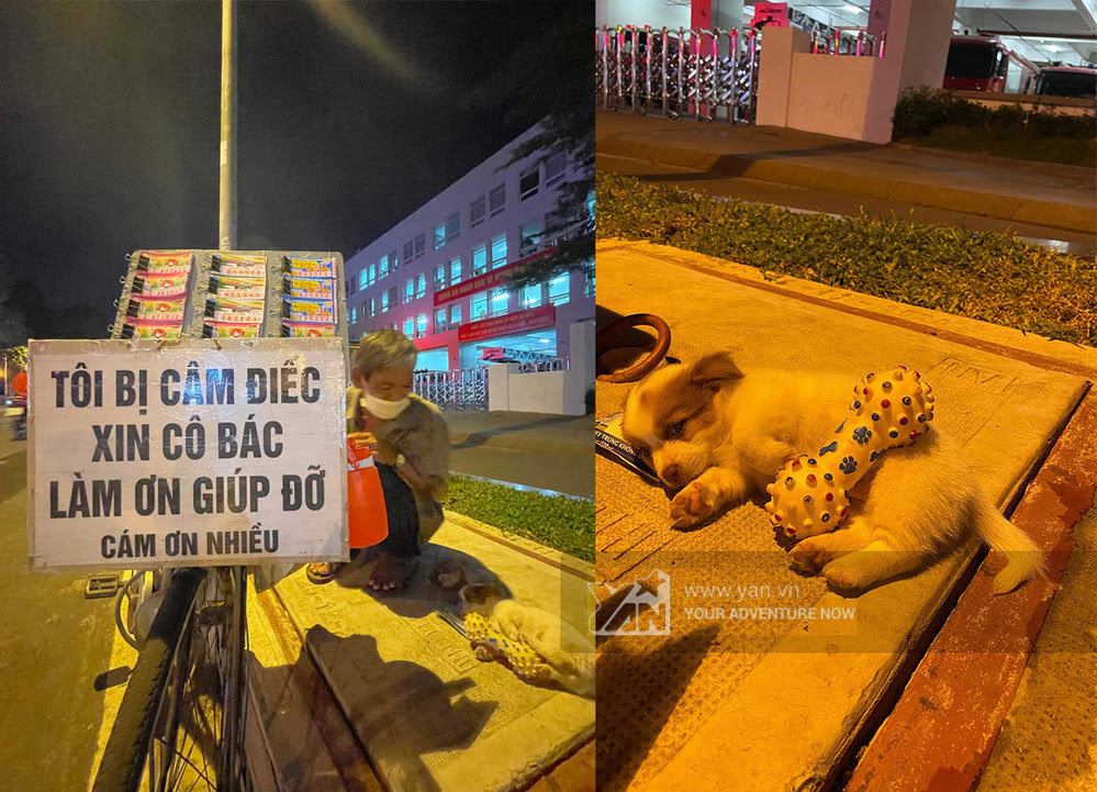 Cụ ông bán vé coi chó như con: Nhiều người kêu gọi hạn chế ôm ấp chó - Hình 6