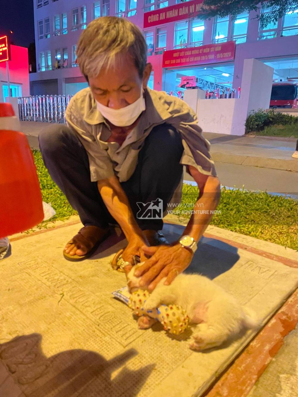 Cụ ông bán vé coi chó như con: Nhiều người kêu gọi hạn chế ôm ấp chó - Hình 8