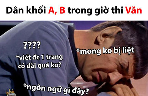 Dân mạng tung ảnh chế đề thi Văn ngập tràn nước, thí sinh nguy cơ ra đảo cao - Hình 6
