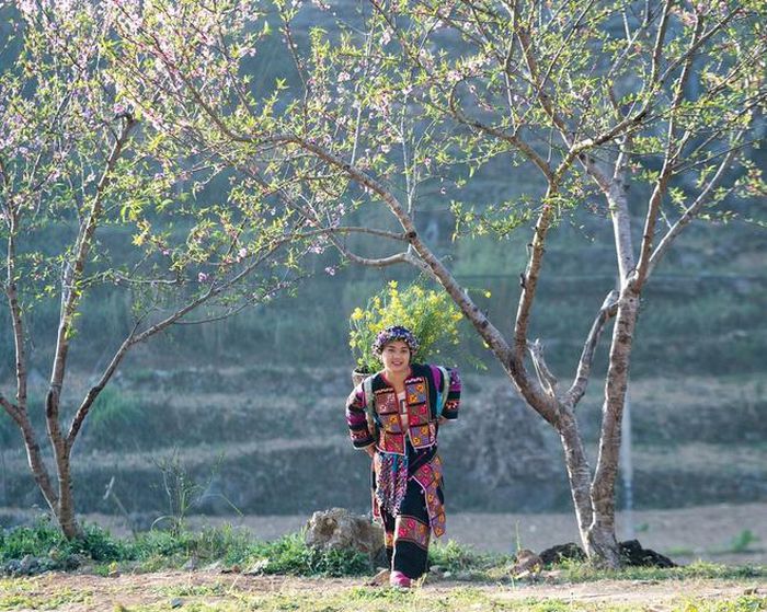 Việt Nam hiện có bao nhiêu công viên địa chất toàn cầu? - Hình 1