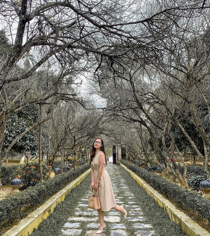 Lỡ lạc một nhịp trước vẻ đẹp nên thơ của nhà vườn An Hiên nổi tiếng vùng đất Cố đô - Hình 1