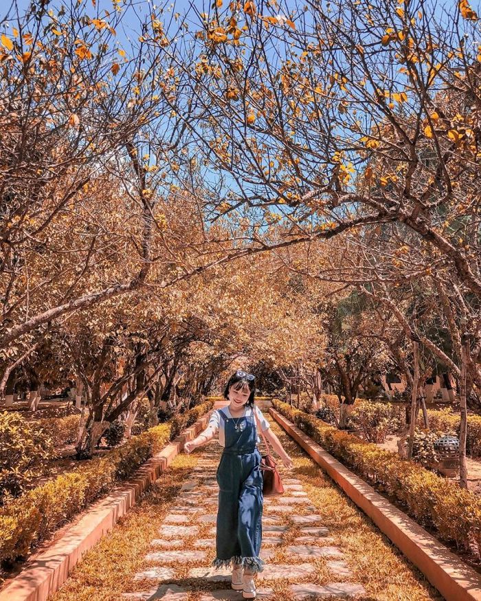 Lỡ lạc một nhịp trước vẻ đẹp nên thơ của nhà vườn An Hiên nổi tiếng vùng đất Cố đô - Hình 6