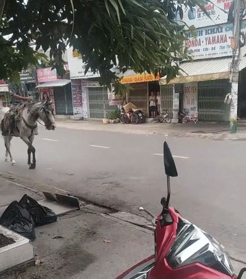 2 đối tượng thản nhiên cõng nhau ra đường, nguyên dàn công an, quân đội đầy uy lực bất giác đứng sững ra nhìn - Hình 1