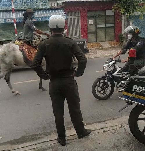 2 đối tượng thản nhiên cõng nhau ra đường, nguyên dàn công an, quân đội đầy uy lực bất giác đứng sững ra nhìn - Hình 2