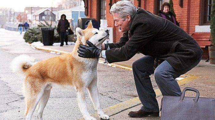 Bức tượng chú chó Hachiko tại Nhật Bản và những chuyện chưa kể - Du