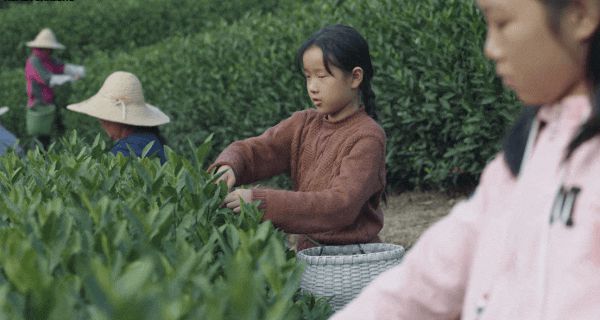 Không ngờ cũng có ngày này: Đồng Dao vả mặt hội phu nhân không trượt phát nào trong 30 chưa phải là hết - Hình 2