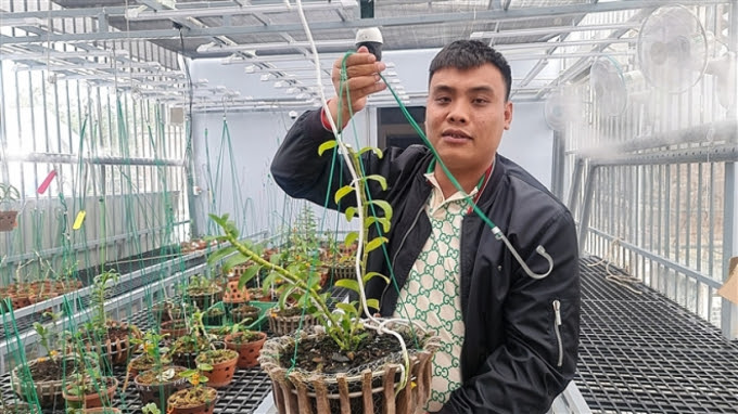 Ông trùm lan đột biến Quảng Ninh bị bắt: Thu lời bất chính hàng trăm tỷ - Hình 2