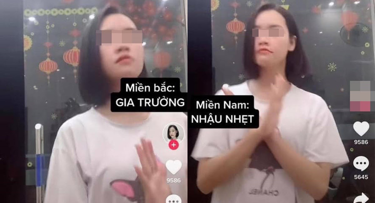 TikToker chê đàn ông miền Bắc gia trưởng, miền Nam nhậu nhẹt, miền Trung nghèo nhận gạch đá - Hình 6
