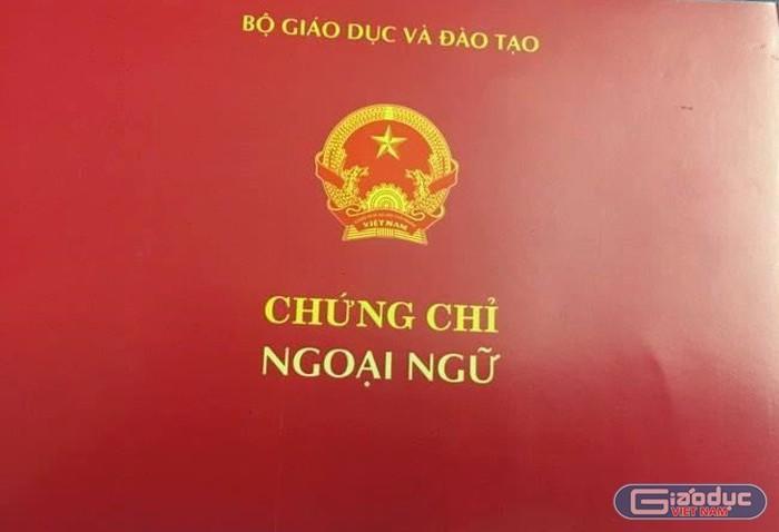 Giáo sư Nguyễn Anh Trí: Chạy theo bằng cấp, chứng chỉ gây ra lãng phí rất lớn - Hình 2
