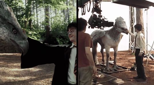 Loài vật thần bí nổi tiếng bậc nhất Harry Potter hóa ra cũng có thật ở hậu trường, bây giờ khán giả nếu thích vẫn có thể đến thăm! - Hình 4