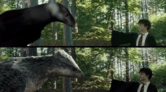 Loài vật thần bí nổi tiếng bậc nhất Harry Potter hóa ra cũng có thật ở hậu trường, bây giờ khán giả nếu thích vẫn có thể đến thăm! - Hình 7