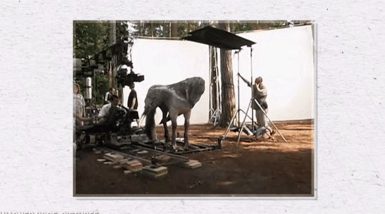 Loài vật thần bí nổi tiếng bậc nhất Harry Potter hóa ra cũng có thật ở hậu trường, bây giờ khán giả nếu thích vẫn có thể đến thăm! - Hình 5