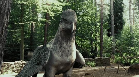 Loài vật thần bí nổi tiếng bậc nhất Harry Potter hóa ra cũng có thật ở hậu trường, bây giờ khán giả nếu thích vẫn có thể đến thăm! - Hình 2