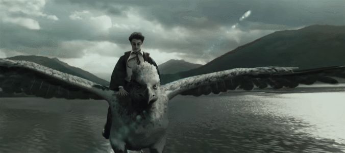 Loài vật thần bí nổi tiếng bậc nhất Harry Potter hóa ra cũng có thật ở hậu trường, bây giờ khán giả nếu thích vẫn có thể đến thăm! - Hình 3