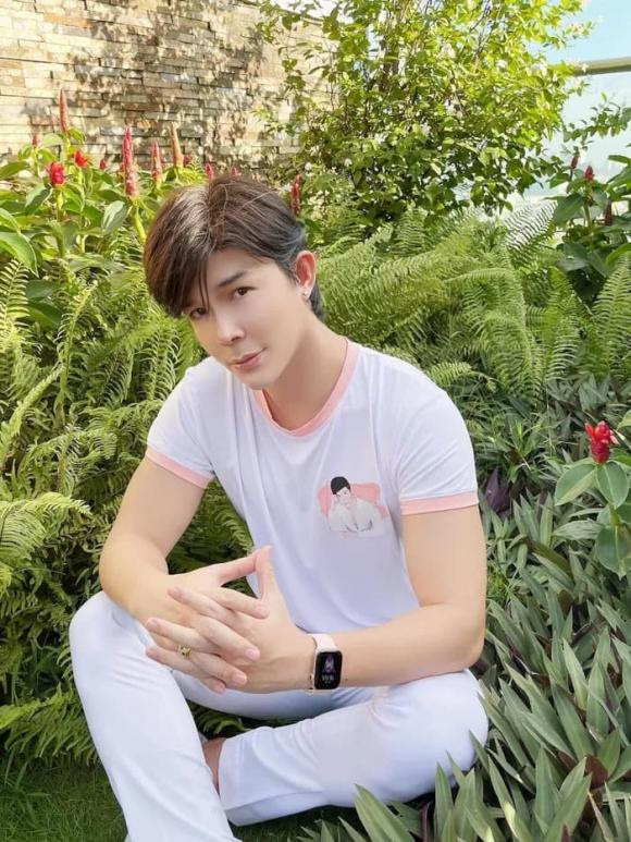 Nathan Lee ghê tởm Cao Thái Sơn, muốn thanh lọc nghệ sĩ như showbiz Hoa ngữ? - Hình 2