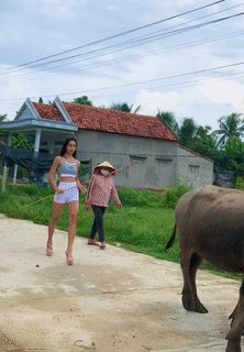 Cô gái đi chăn trâu với thần thái cực đỉnh, tiết lộ thành tích khiến dân mạng trầm trồ - Hình 1