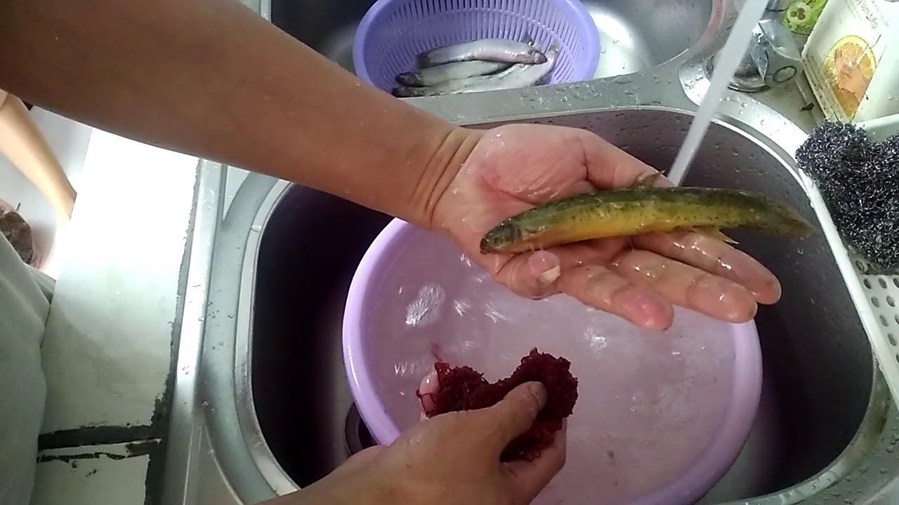 Cách làm cá chạch nấu măng chua mềm ngon, dai ngọt - Hình 1