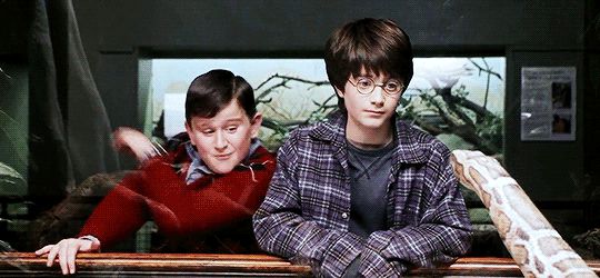 Tiết lộ lý do cực đen tối khiến Harry Potter bị cả nhà Dursley hành hạ: Bằng chứng được sắp đặt từ tập 1 mà không ai phát hiện? - Hình 3