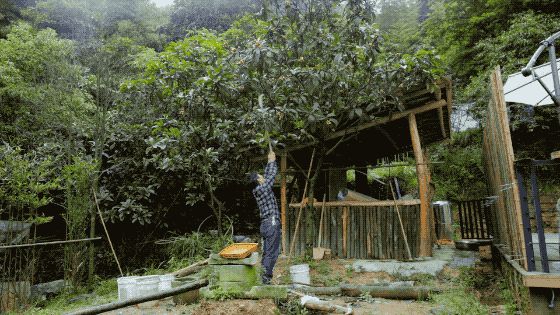 Ngôi nhà vườn khiến ai cũng trầm trồ của nữ biên tập viên rời phố, cùng chồng và bố mẹ về quê sống cuộc đời an nhàn - Hình 23