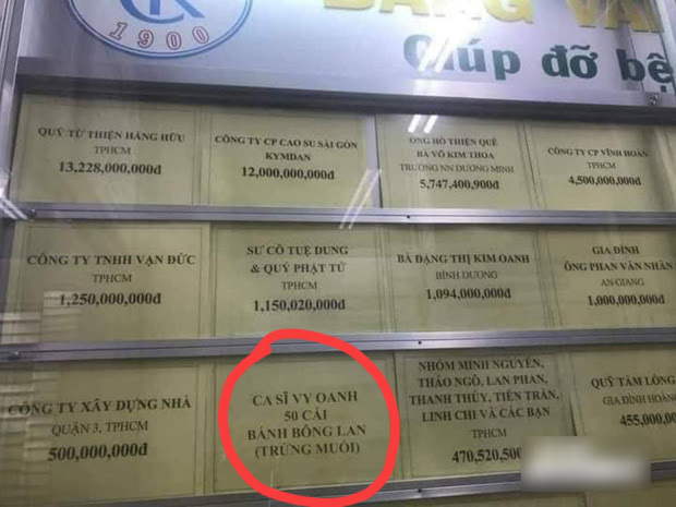 Vy Oanh quyên góp 50 bánh bông lan trứng muối giữa loạt nhà hảo tâm ủng hộ tiền tỷ? - Hình 1