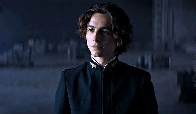 Bom tấn mới của Timothée Chalamet debut số điểm siêu ổn, xuất sắc thế nào mà khán giả ở LHP Venice đứng vỗ tay suốt 6 phút sau khi xem? - Hình 1