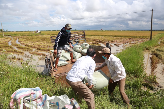 Các địa phương miền Trung hối hả chạy bão số 5 - Hình 14