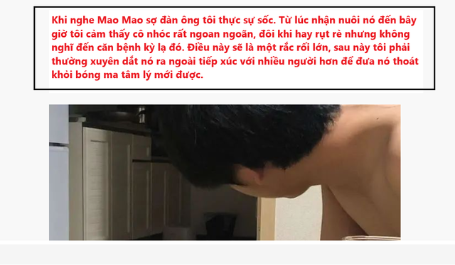 Chủ đăng bài cầu cứu vì mèo mắc chứng sợ đàn ông - Hình 5