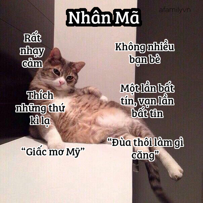 Những sự thật thú vị về 12 cung Hoàng đạo trong đời sống: Kim Ngưu khá ngốc nghếch, Xử Nữ đại diện cho phe công lý - Hình 9