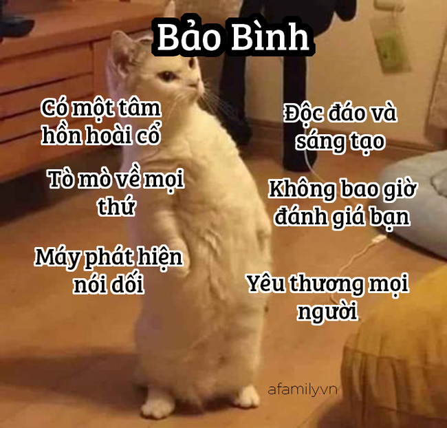 Những sự thật thú vị về 12 cung Hoàng đạo trong đời sống: Kim Ngưu khá ngốc nghếch, Xử Nữ đại diện cho phe công lý - Hình 11