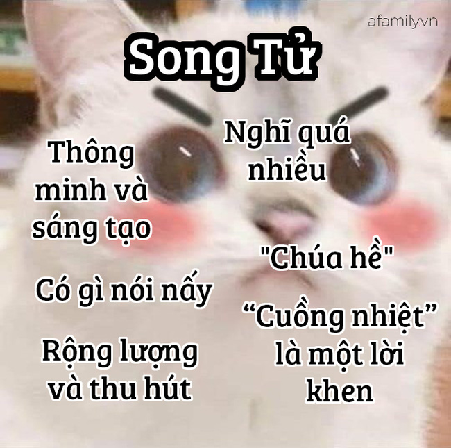 Những sự thật thú vị về 12 cung Hoàng đạo trong đời sống: Kim Ngưu khá ngốc nghếch, Xử Nữ đại diện cho phe công lý - Hình 3