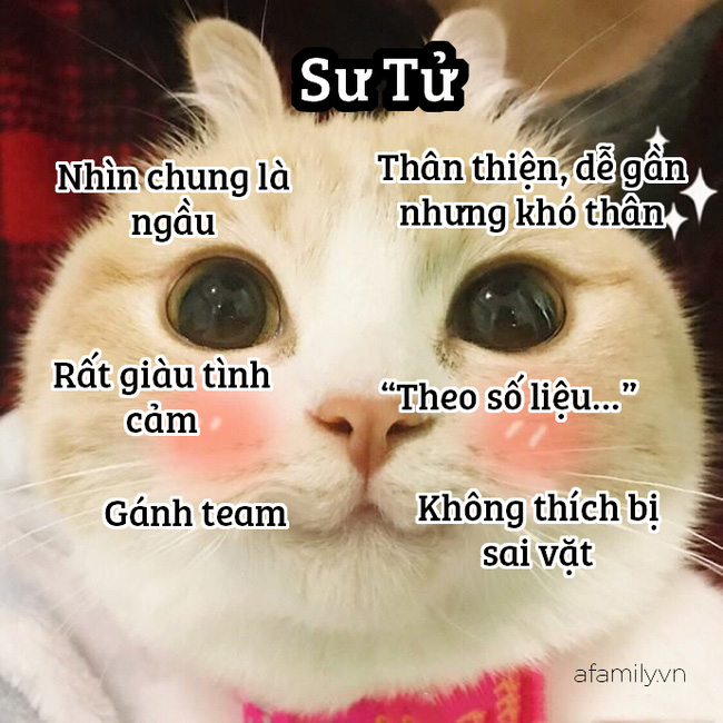 Những sự thật thú vị về 12 cung Hoàng đạo trong đời sống: Kim Ngưu khá ngốc nghếch, Xử Nữ đại diện cho phe công lý - Hình 5