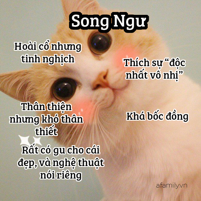 Những sự thật thú vị về 12 cung Hoàng đạo trong đời sống: Kim Ngưu khá ngốc nghếch, Xử Nữ đại diện cho phe công lý - Hình 12