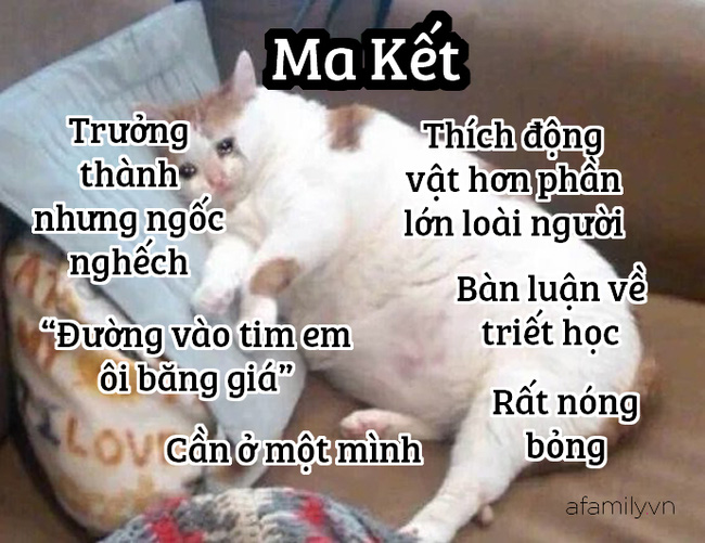 Những sự thật thú vị về 12 cung Hoàng đạo trong đời sống: Kim Ngưu khá ngốc nghếch, Xử Nữ đại diện cho phe công lý - Hình 10
