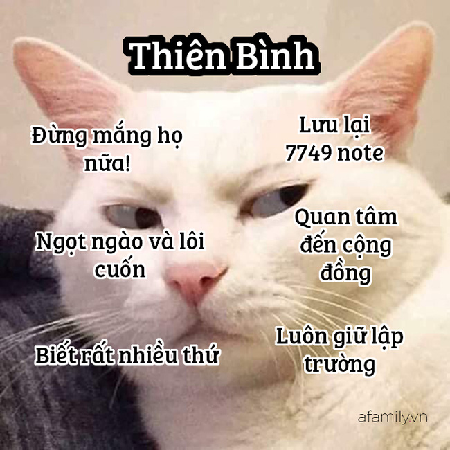Những sự thật thú vị về 12 cung Hoàng đạo trong đời sống: Kim Ngưu khá ngốc nghếch, Xử Nữ đại diện cho phe công lý - Hình 7