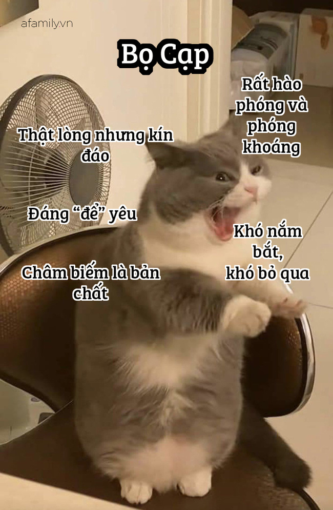 Những sự thật thú vị về 12 cung Hoàng đạo trong đời sống: Kim Ngưu khá ngốc nghếch, Xử Nữ đại diện cho phe công lý - Hình 8
