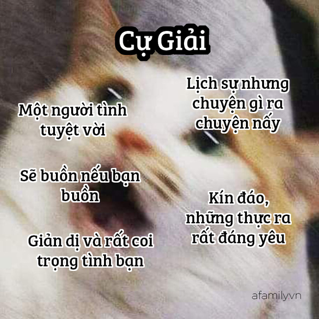Những sự thật thú vị về 12 cung Hoàng đạo trong đời sống: Kim Ngưu khá ngốc nghếch, Xử Nữ đại diện cho phe công lý - Hình 4