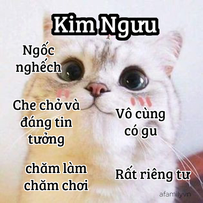 Những sự thật thú vị về 12 cung Hoàng đạo trong đời sống: Kim Ngưu khá ngốc nghếch, Xử Nữ đại diện cho phe công lý - Hình 2