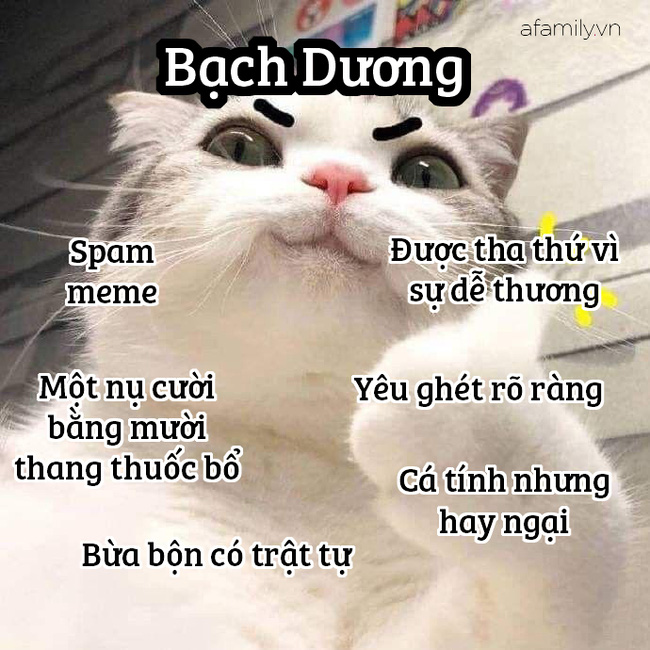 Tập hợp hơn 15 12 cung hoàng đạo meme hay nhất 