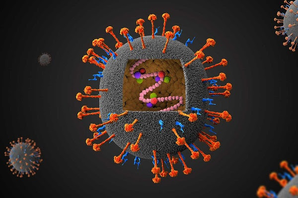 Virus Nipah nguy hiểm hơn cả Covid-19 đang bùng phát ở Ấn Độ - Hình 3