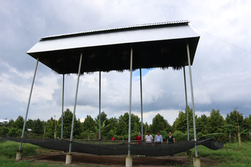 Làm chuồng lạ nuôi loài thú quen, bay như chim, sáng ra bà tỷ phú nông dân đất Bình Dương hót phân bán đắt tiền - Hình 1