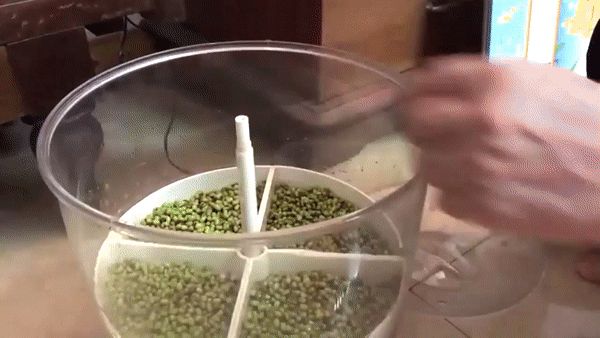 Nhà tôi toàn sắm đồ gia dụng Việt: Giá tốt mà dùng bền phết, có món dùng 6 năm vẫn chạy ngon - Hình 12
