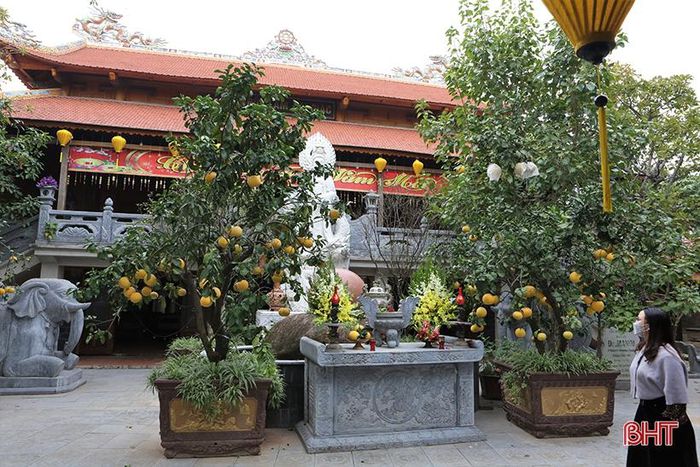 Xuân sớm trên những điểm du lịch hấp dẫn ở Hà Tĩnh - Hình 13