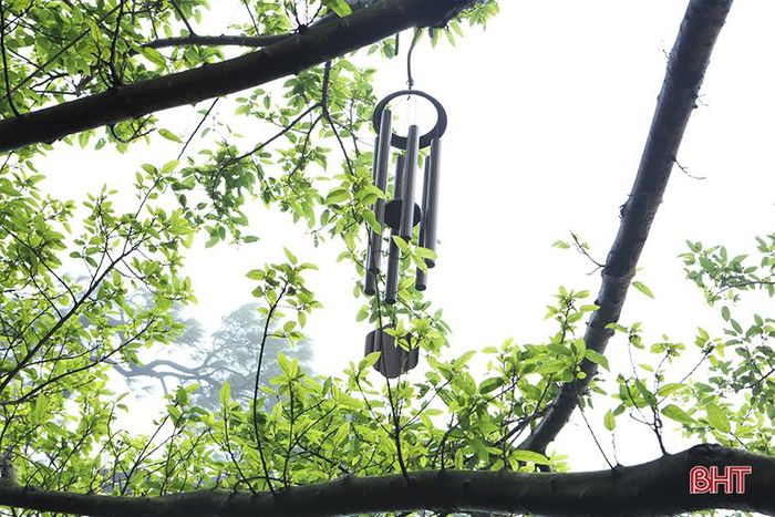 Xuân sớm trên những điểm du lịch hấp dẫn ở Hà Tĩnh - Hình 9