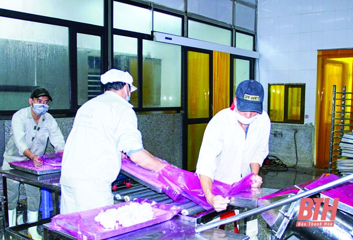 Xuất khẩu vượt khó, xác lập đỉnh mới - Hình 1