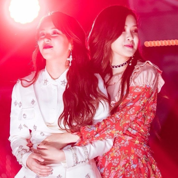 Rosé (BLACKPINK) gặp sự cố đội quần khi phát biểu, reaction của Tzuyu (TWICE) khiến fan rụng tim - Hình 3