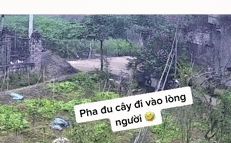 Đang lái xe, thanh niên leo tót lên cây ngồi vắt vẻo, hóa ra là vì tiếng kêu dữ tợn từ xa - Hình 1