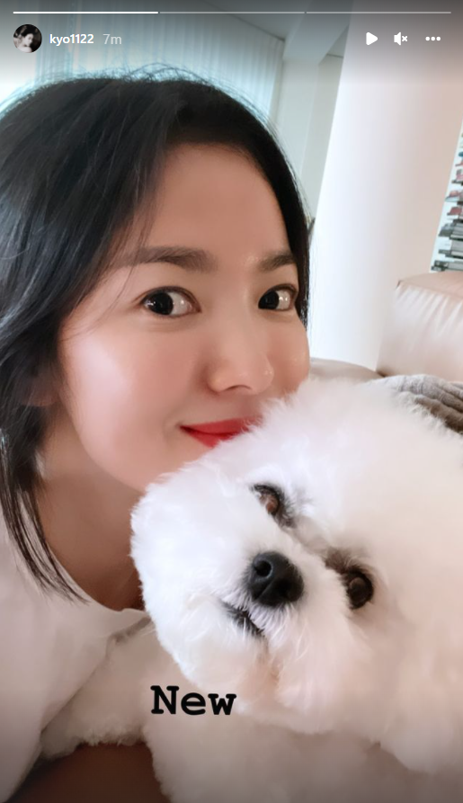 Song Hye Kyo khoe ảnh selfie cực lạ, nhưng làn da ở tuổi 40 mới thực sự gây choáng - Hình 2