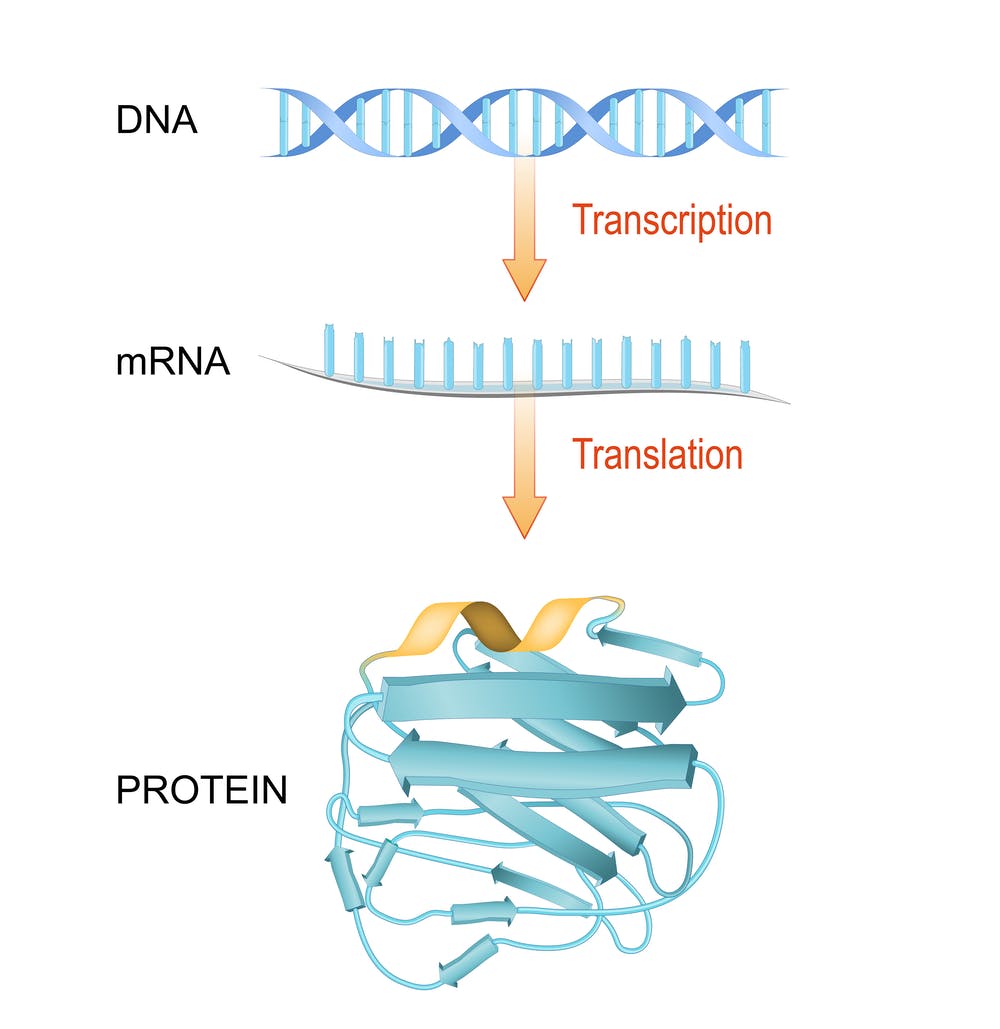 vaccine mrna se tri benh ung thu hivaids nhu the nao 0f7 6289216