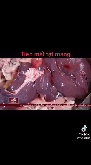 Chiêu trò phù phép pate và xúc xích khiến người tiêu dùng toát mồ hôi hột, nhìn cận cảnh quy trình thực hiện càng thêm ám ảnh kinh hoàng - Hình 1